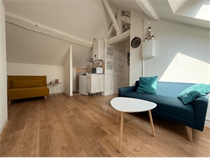t1 à la vente -   58200  COSNE COURS SUR LOIRE, surface 16 m2 vente t1 - UBI479464142